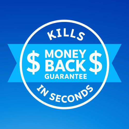 Zevo Crawling Insect Killer - Ant, Roach, & Spider 10oz - Image 3